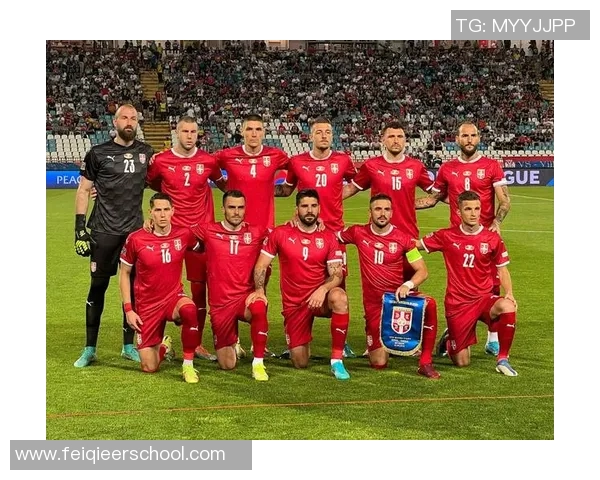 爱尔兰与赛尔维亚足球对决解析期待精彩赛事与球员表现